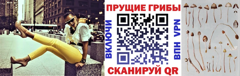 магазин  наркотиков  гидра ТОР  Галлюциногенные грибы Magic Shrooms  Ворсма 